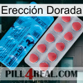 Erección Dorada new14